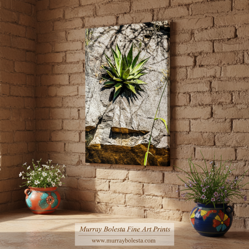 Desert Agave Century Plant Art in Arizona Desert at Mexico Border by Murray Bolesta