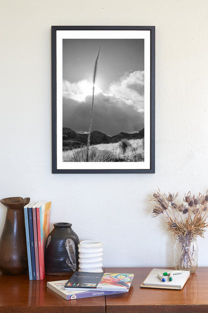 Arizona Desert Mountain Agave Sunset Art Print in Black & White