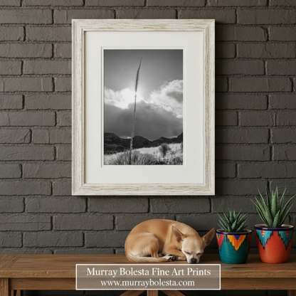 Black and white landscape with a tall plant against a cloudy sky. Arizona Desert Mountain Agave Sunset Art Print in Black & White by Murray Bolesta