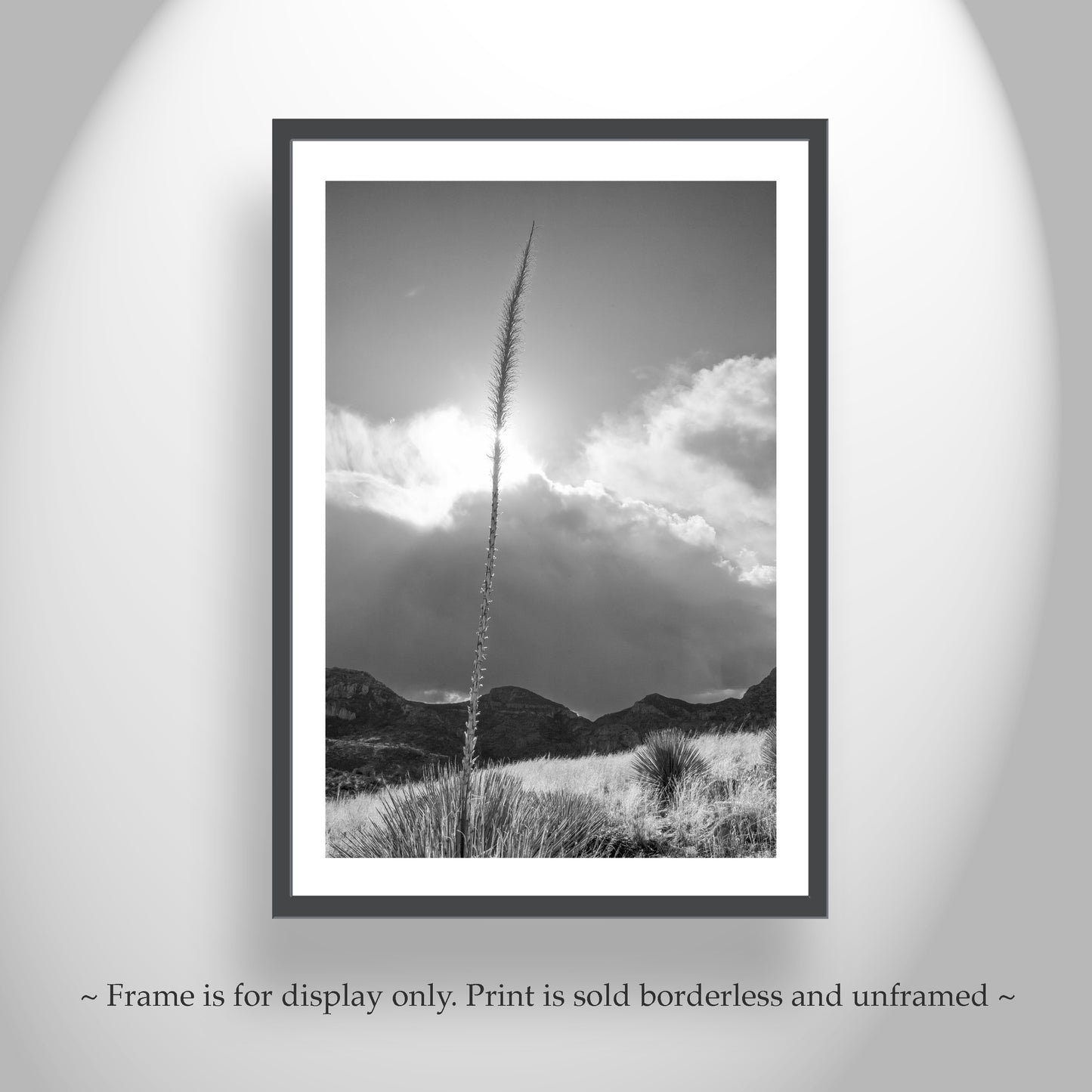 Arizona Desert Mountain Agave Sunset Art Print in Black & White