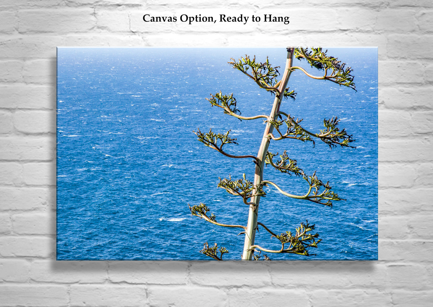 Big Sur California Ocean Photograph with Agave Century Plant