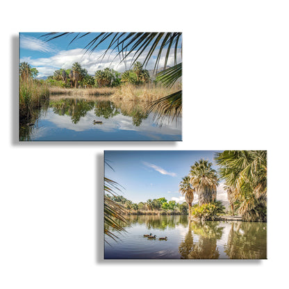 Two framed pictures of a serene lake scene with palm trees and ducks. Tucson Arizona Agua Caliente Park Desert Oasis Landscape Art Prints (Set of 2)
