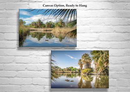 Tucson Arizona Agua Caliente Park Desert Oasis Landscape Art Prints (Set of 2)