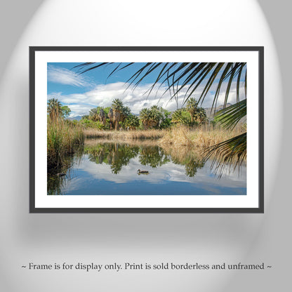 Tucson Arizona Agua Caliente Park Desert Oasis Landscape Art Prints (Set of 2)