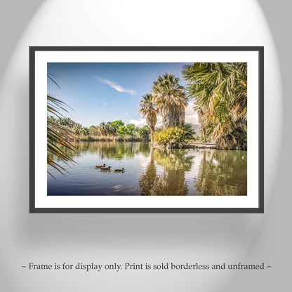 Tucson Arizona Agua Caliente Park Desert Oasis Landscape Art Prints (Set of 2)