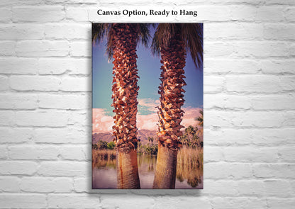 Agua Caliente Park Tucson Arizona Desert Oasis Art Print