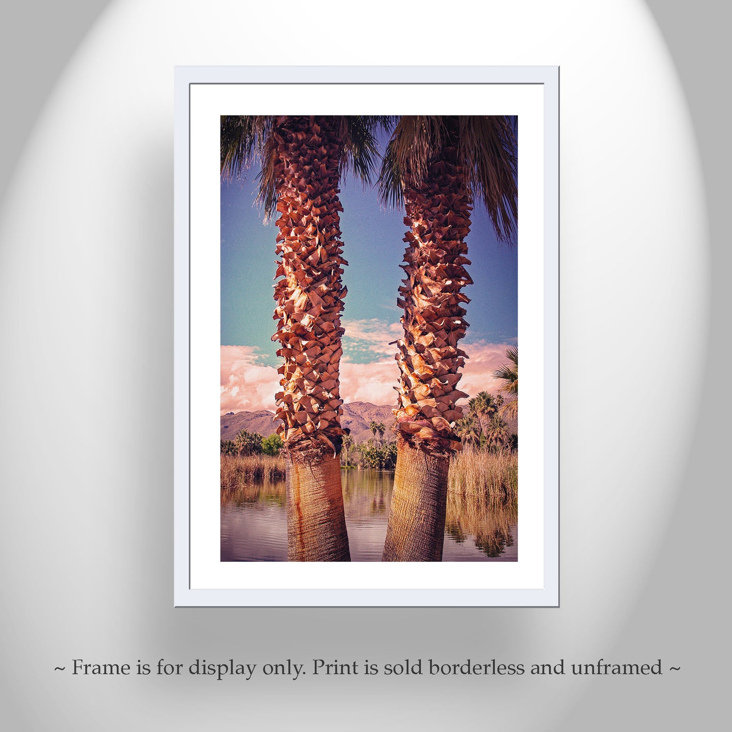 Agua Caliente Park Tucson Arizona Desert Oasis Art Print