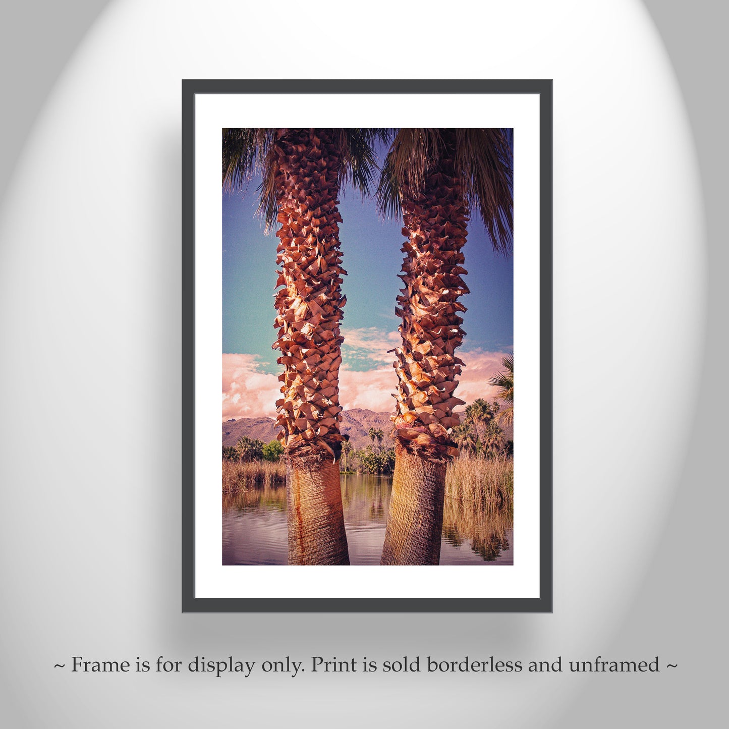 Agua Caliente Park Tucson Arizona Desert Oasis Art Print