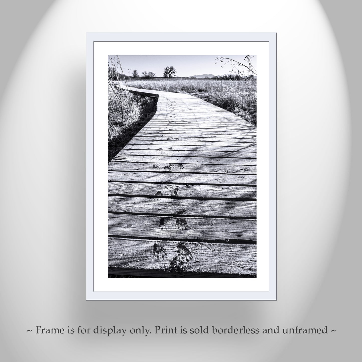 Surreal Black and White Landscape Photography with Animal Tracks in Winter Frost