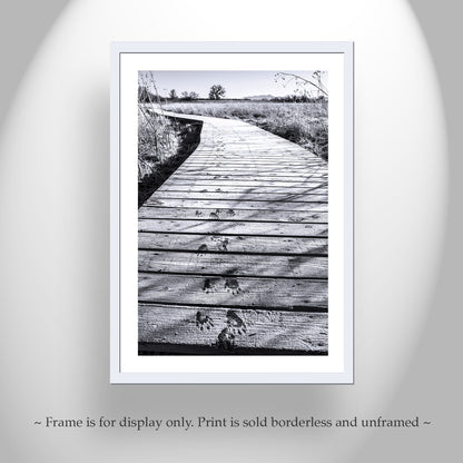 Surreal Black and White Landscape Photography with Animal Tracks in Winter Frost