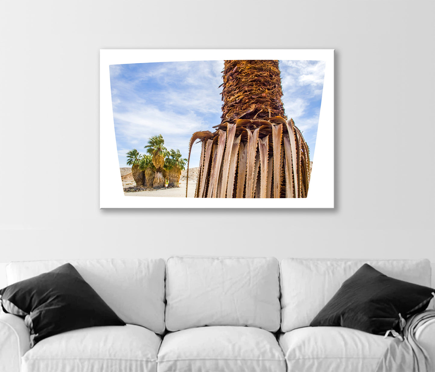 Desert Palm Trees Wall Art | Anza Borrego California Print