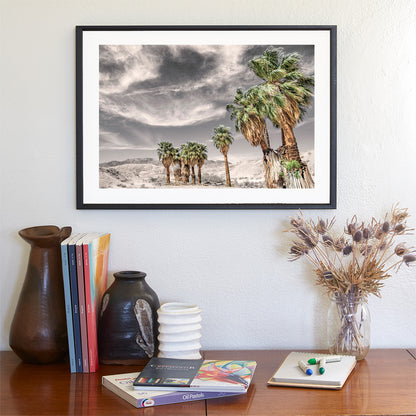 Anza Borrego Desert Palm Trees Sepia Landscape Photography Print