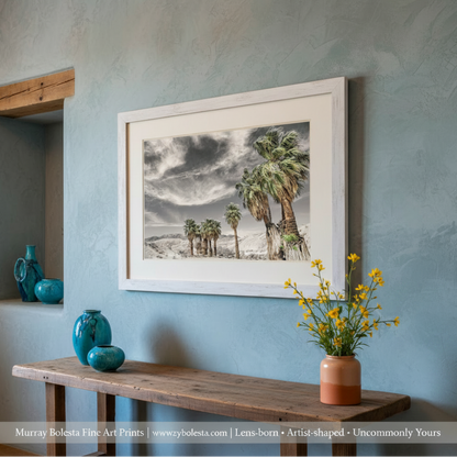 Palm trees under a dramatic sky with dark clouds and a white background. Anza Borrego Desert State Park Southern California Palm Trees Fine Art Print by Murray Bolesta