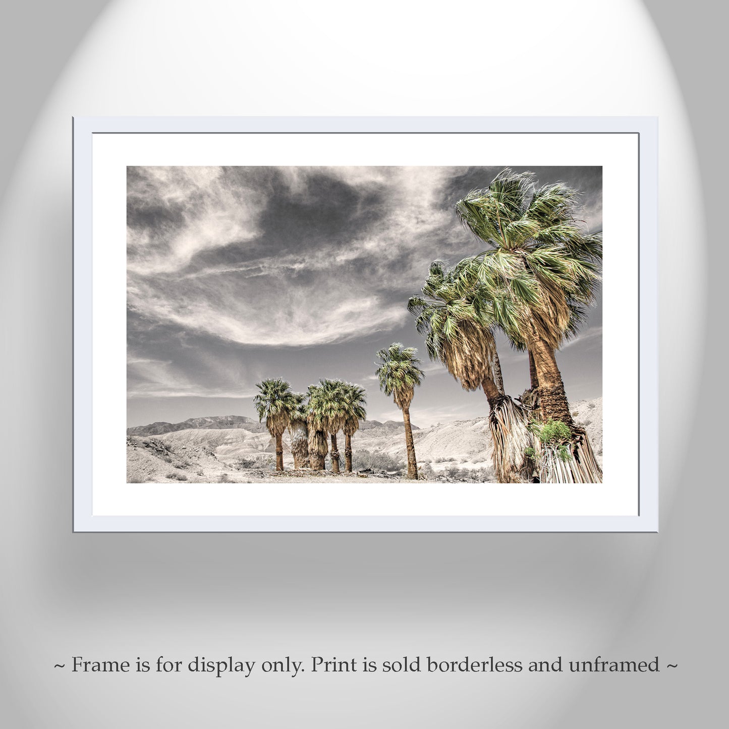 Anza Borrego Desert Palm Trees Sepia Landscape Photography Print