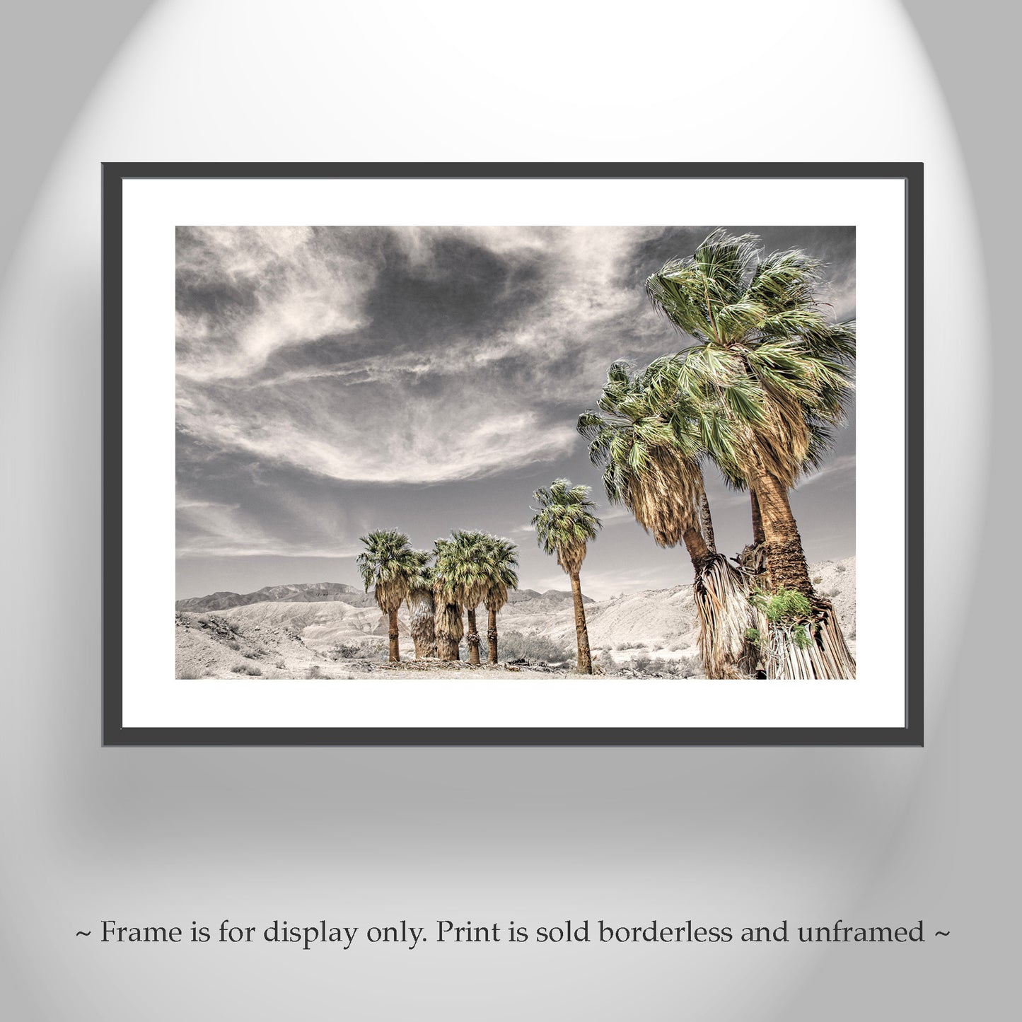 Anza Borrego Desert Palm Trees Sepia Landscape Photography Print
