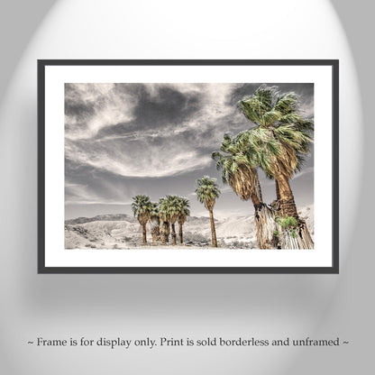 Anza Borrego Desert Palm Trees Sepia Landscape Photography Print