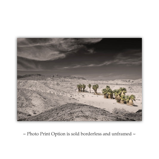 Anza Borrego Mojave Desert Art Print with Palm Trees | Artwork for Sale