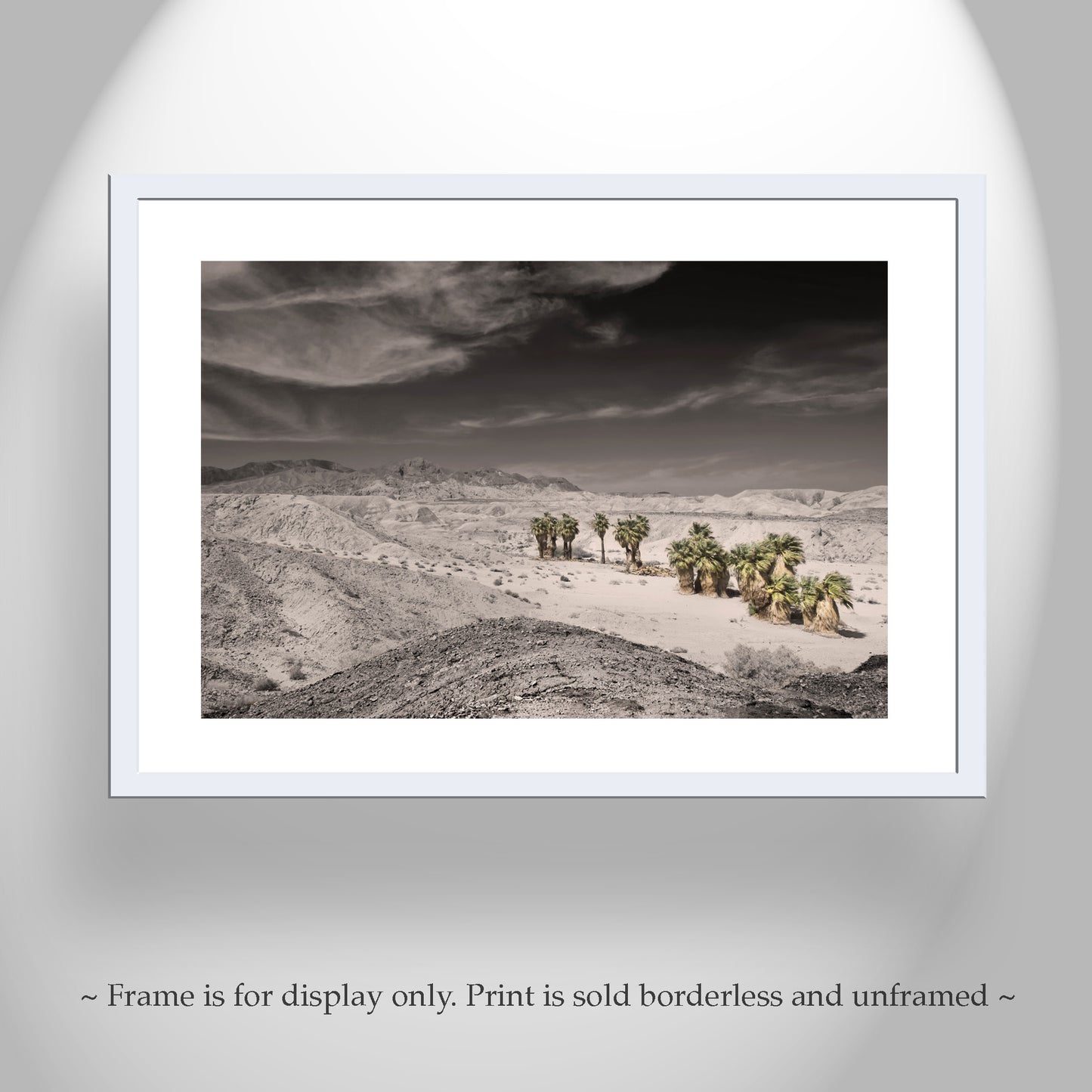 Anza Borrego Mojave Desert Art Print with Palm Trees | Artwork for Sale