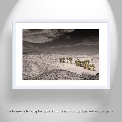 Anza Borrego Mojave Desert Art Print with Palm Trees | Artwork for Sale
