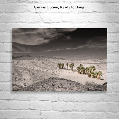 Anza Borrego Mojave Desert Art Print with Palm Trees | Artwork for Sale