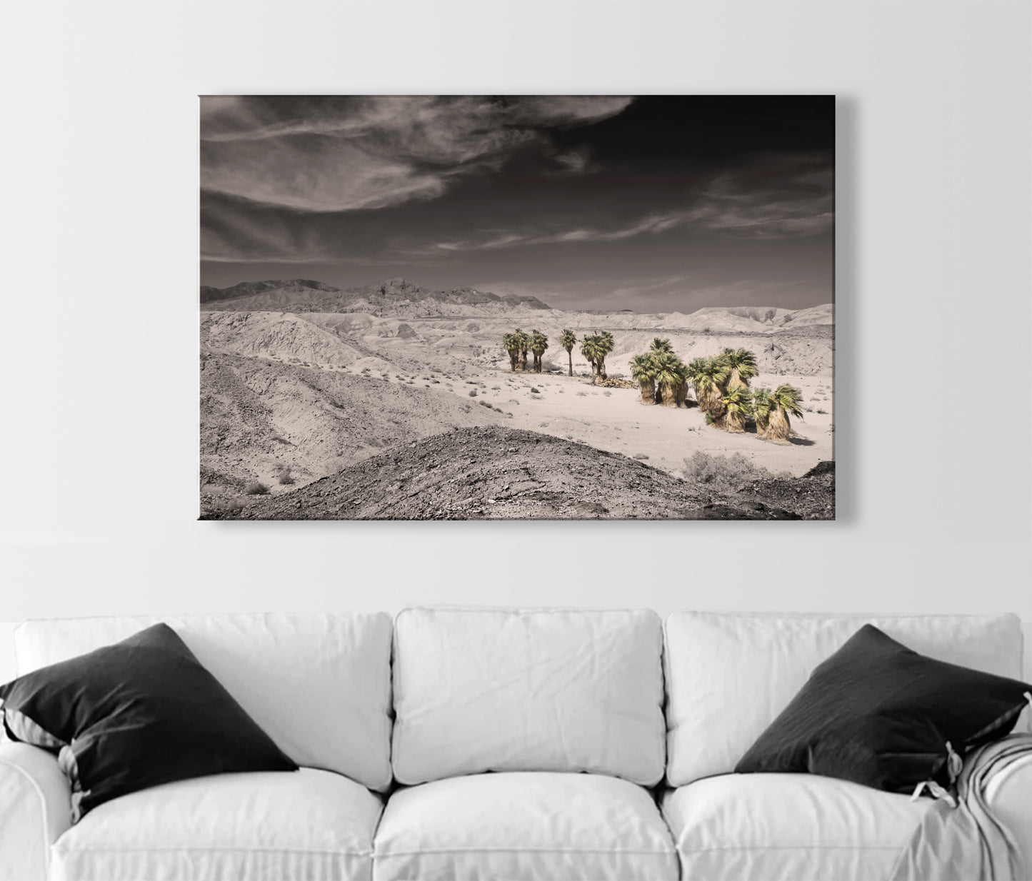 Anza Borrego Mojave Desert Art Print with Palm Trees | Artwork for Sale