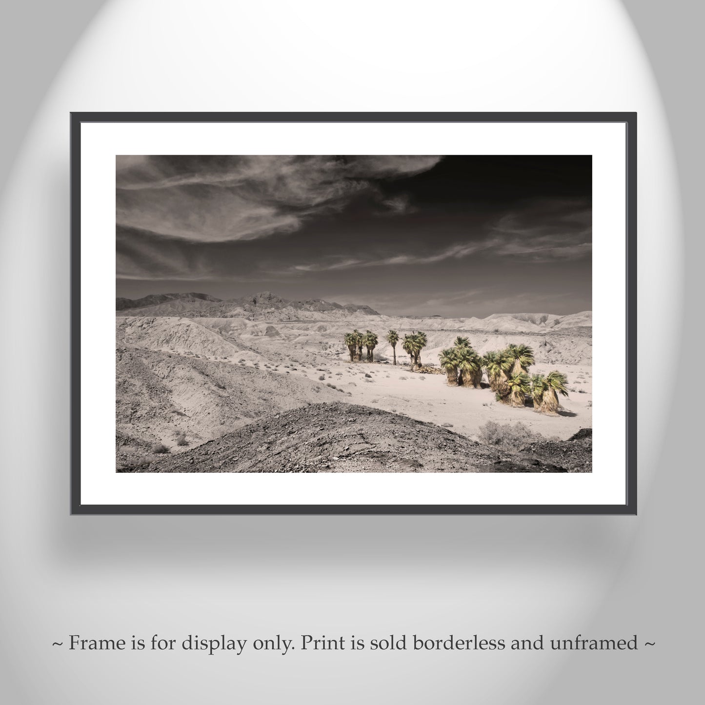 Anza Borrego Mojave Desert Art Print with Palm Trees | Artwork for Sale