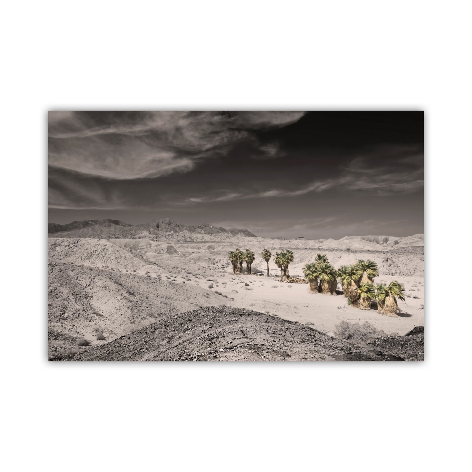 Desert landscape with palm trees under a dramatic sky