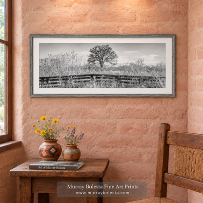 Arivaca Arizona Cienega Winter Boardwalk peaceful serene art by Murray Bolesta.