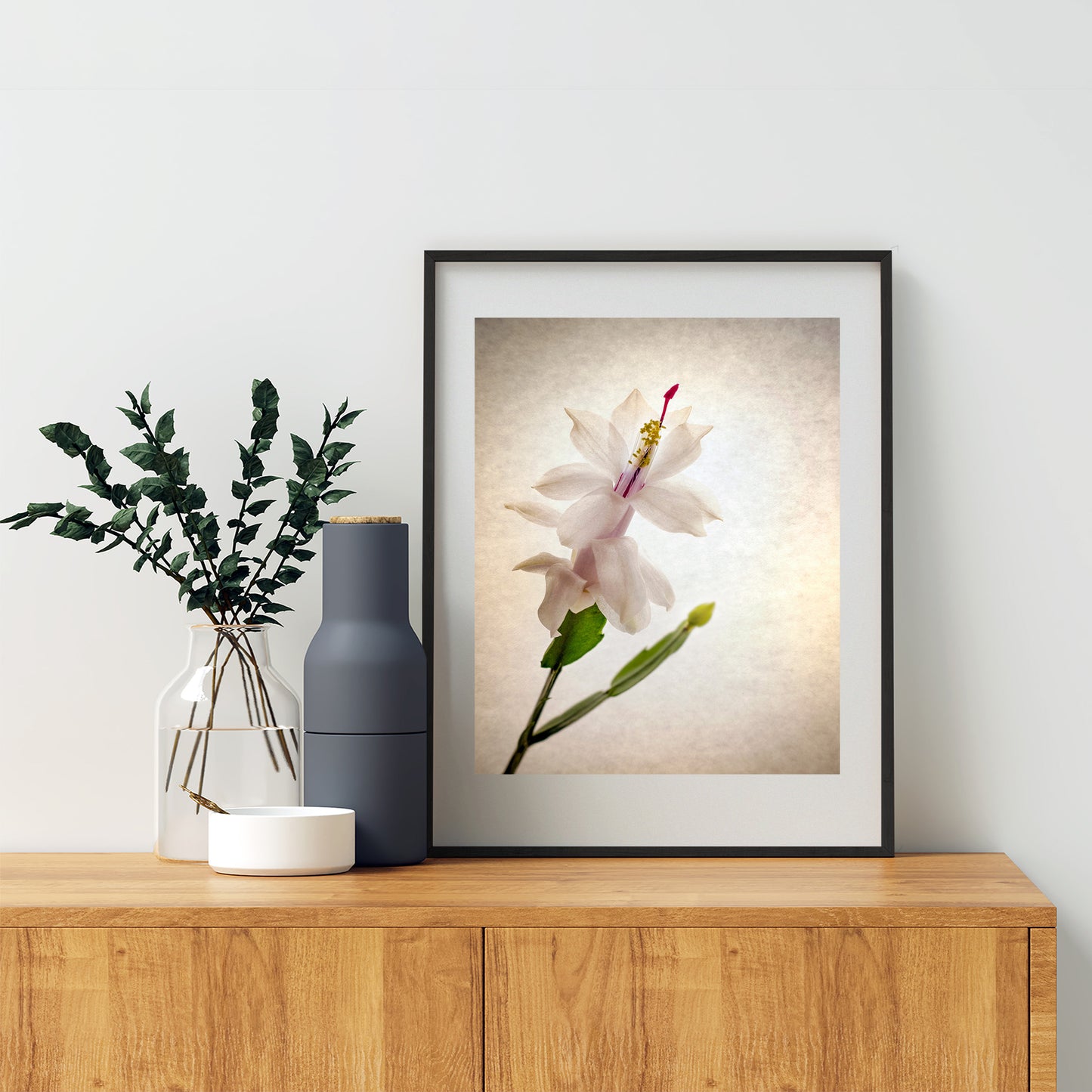 Minimalist Flower Art Print with Christmas Cactus Blossom by Murray Bolesta!