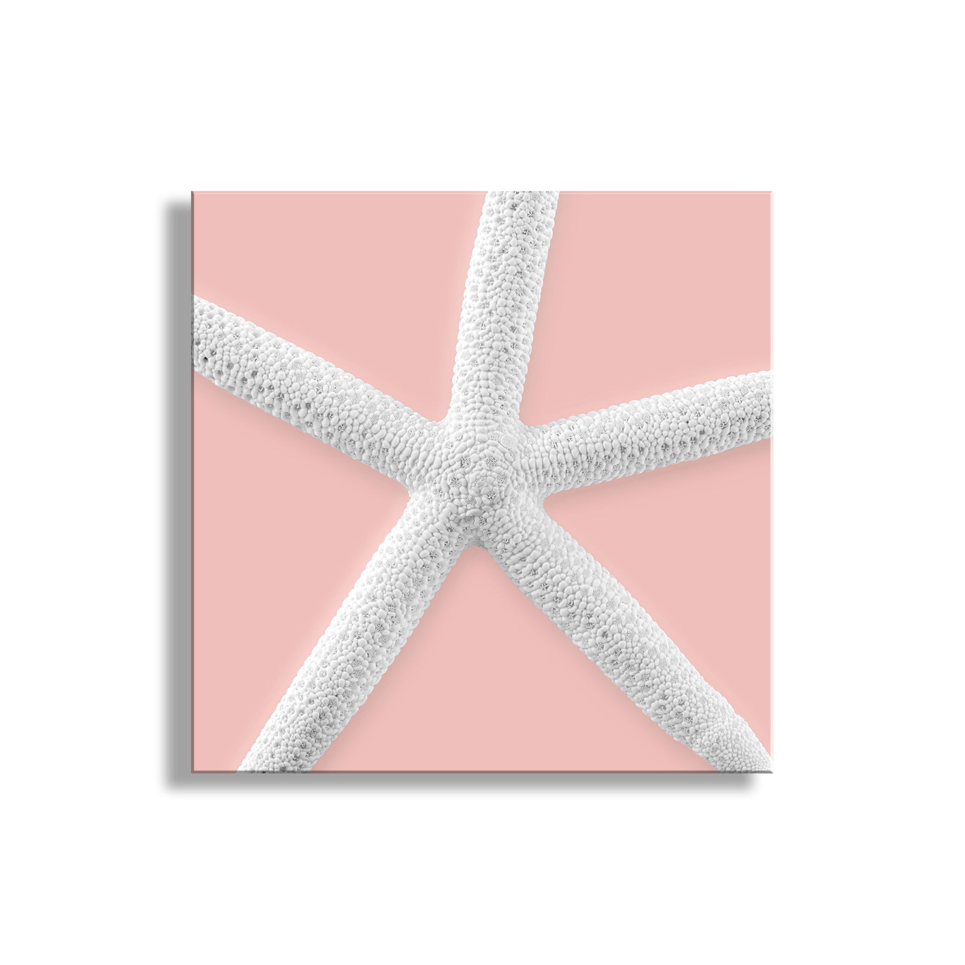 White starfish on a pink background. Starfish Framed Canvas Print as Wall Decor Gift for Home or Bathroom in Pale Pink