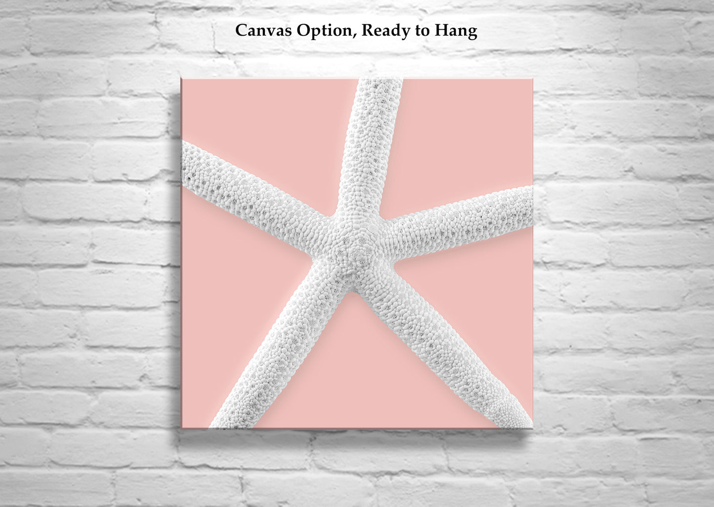 Starfish Framed Canvas Print as Wall Decor Gift for Home or Bathroom in Pale Pink