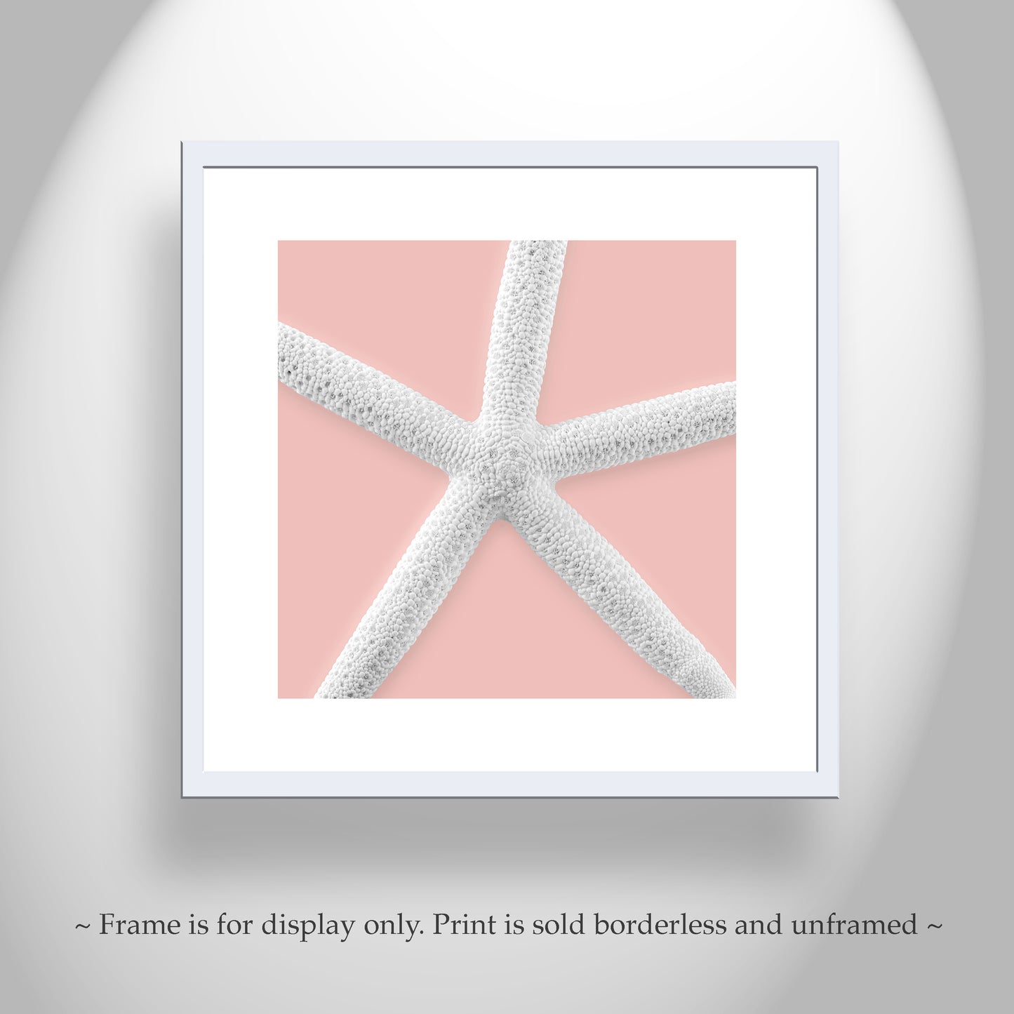 Starfish Framed Canvas Print as Wall Decor Gift for Home or Bathroom in Pale Pink
