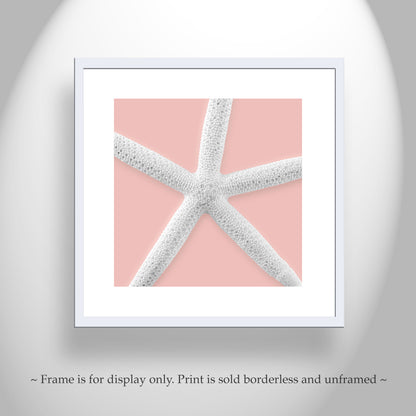 Starfish Framed Canvas Print as Wall Decor Gift for Home or Bathroom in Pale Pink