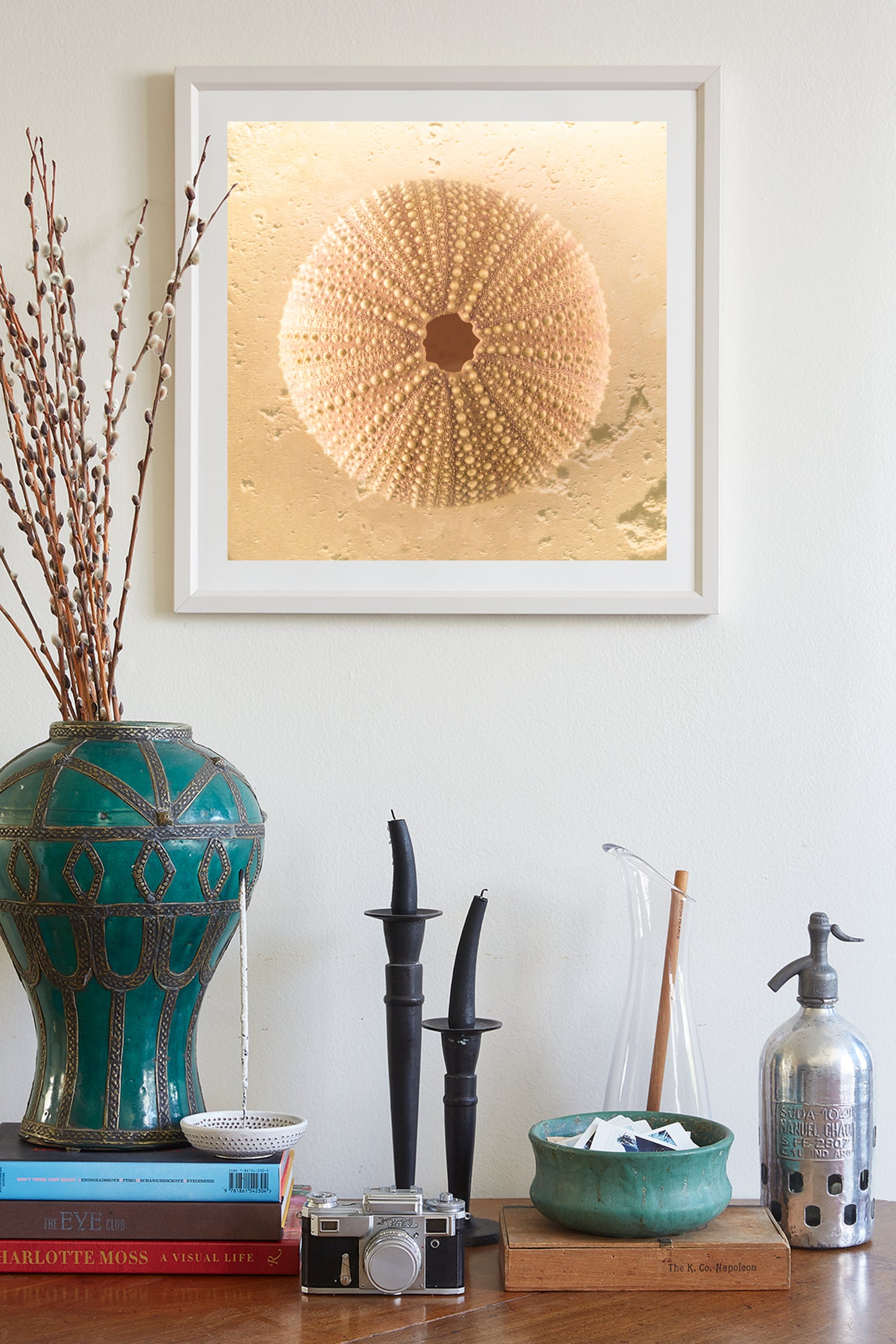 Sea Urchin Seashell Art Print by Murray Bolesta in Beige Neutral Tones