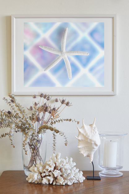 Pastel Blue Sea Shell Sea Star Art for Bath or Home