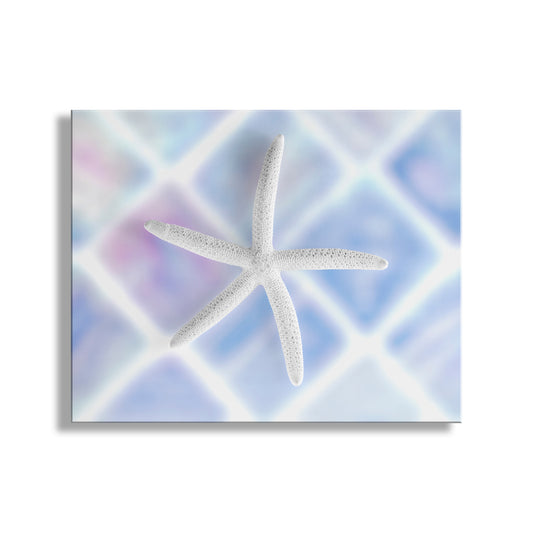 Starfish on a colorful abstract background. Pastel Blue Sea Shell Sea Star Art for Bath or Home