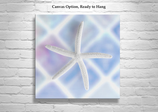 Blue Sea Shell Decor with Sea Star for Bathroom on Square Art Print