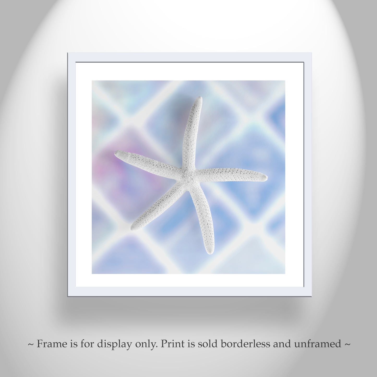 Blue Sea Shell Decor with Sea Star for Bathroom on Square Art Print