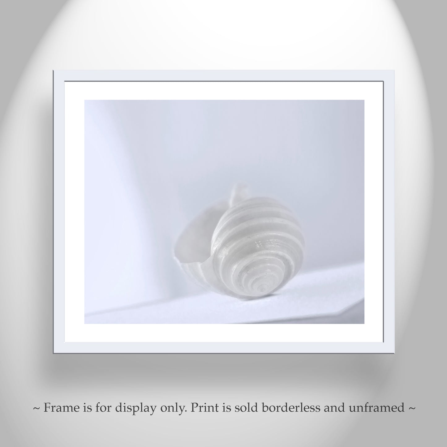 Minimalist Seashell Art Print in Pastel for Home or Bathroom in Periwinkle Blue