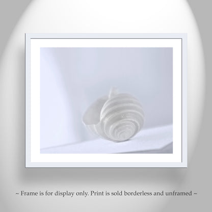 Minimalist Seashell Art Print in Pastel for Home or Bathroom in Periwinkle Blue