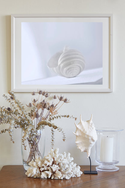 Minimalist Seashell Art Print in Pastel for Home or Bathroom in Periwinkle Blue