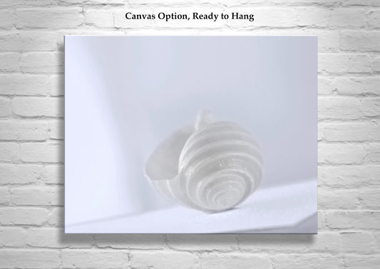 Minimalist Seashell Art Print in Pastel for Home or Bathroom in Periwinkle Blue