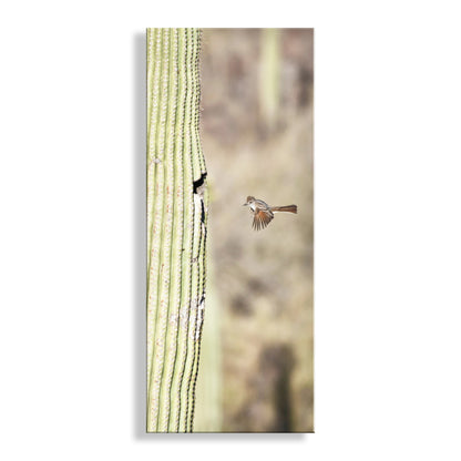 Desert Flycatcher Bird in Flight Art Print | Saguaro Cactus in Arizona
