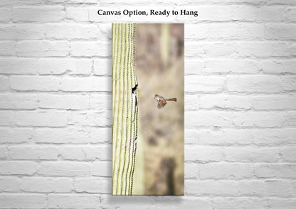 Desert Flycatcher Bird in Flight Art Print | Saguaro Cactus in Arizona