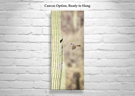 Desert Flycatcher Bird in Flight Art Print | Saguaro Cactus in Arizona