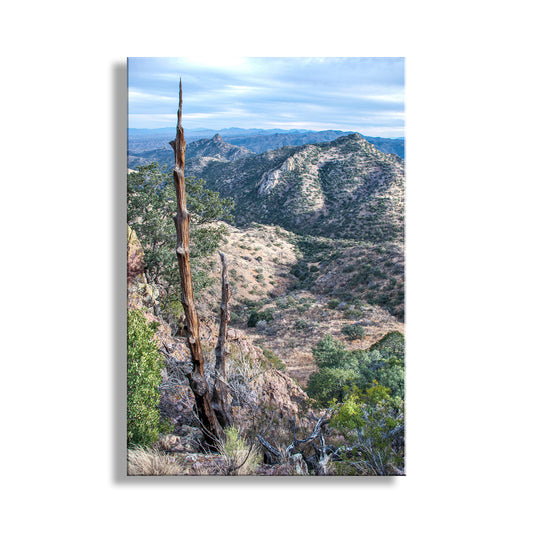 Scenic view of a mountainous landscape with a lone tree. Atascosa Mountains Landscape Photography at Nogales in Southern Arizona Borderlands