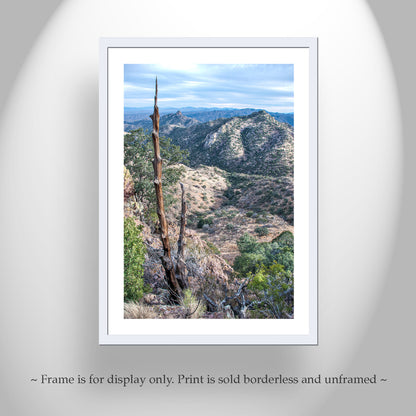 Atascosa Mountains Landscape Photography at Nogales in Southern Arizona Borderlands