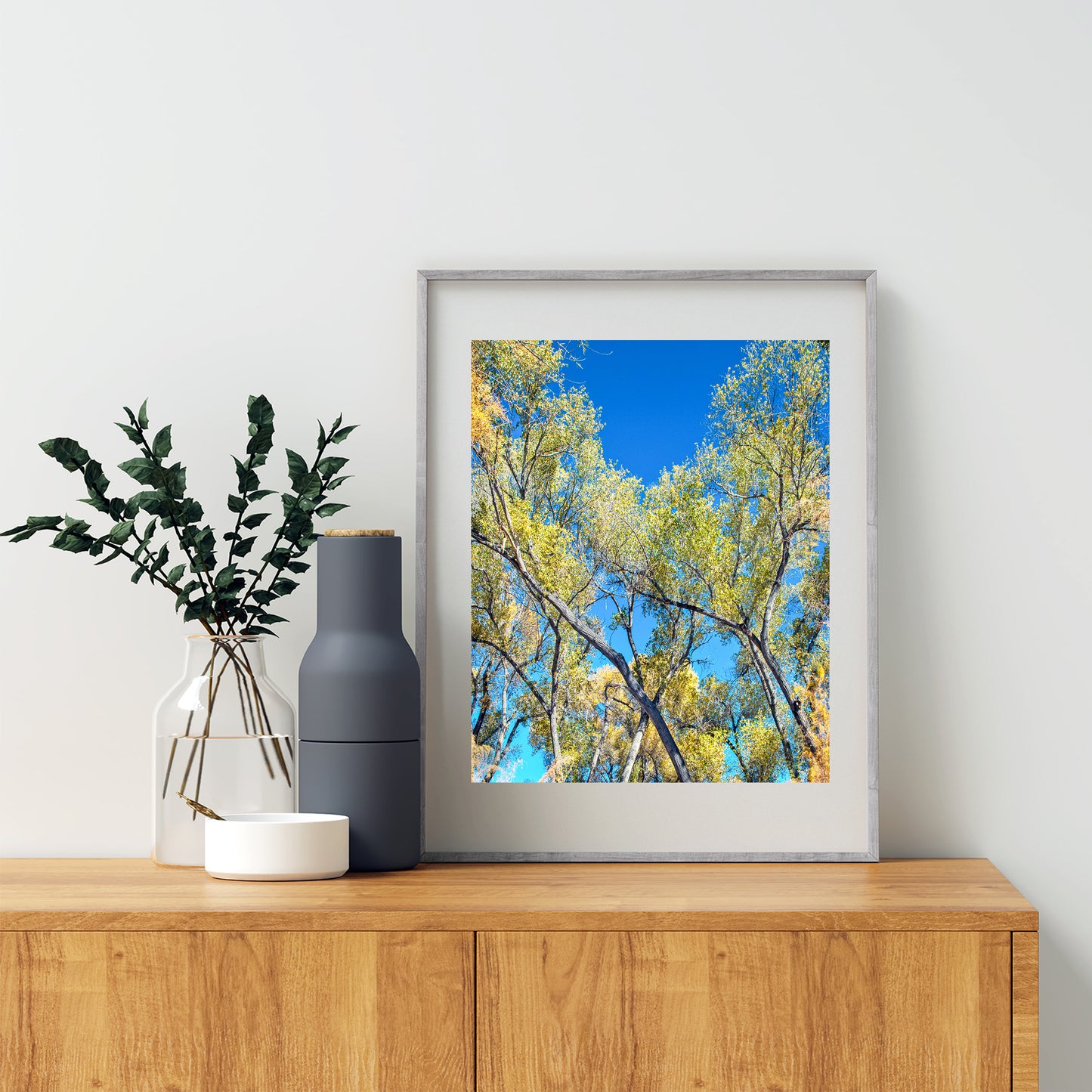 San Pedro River Arizona Cottonwood Tree | Autumn Forest Nature Print
