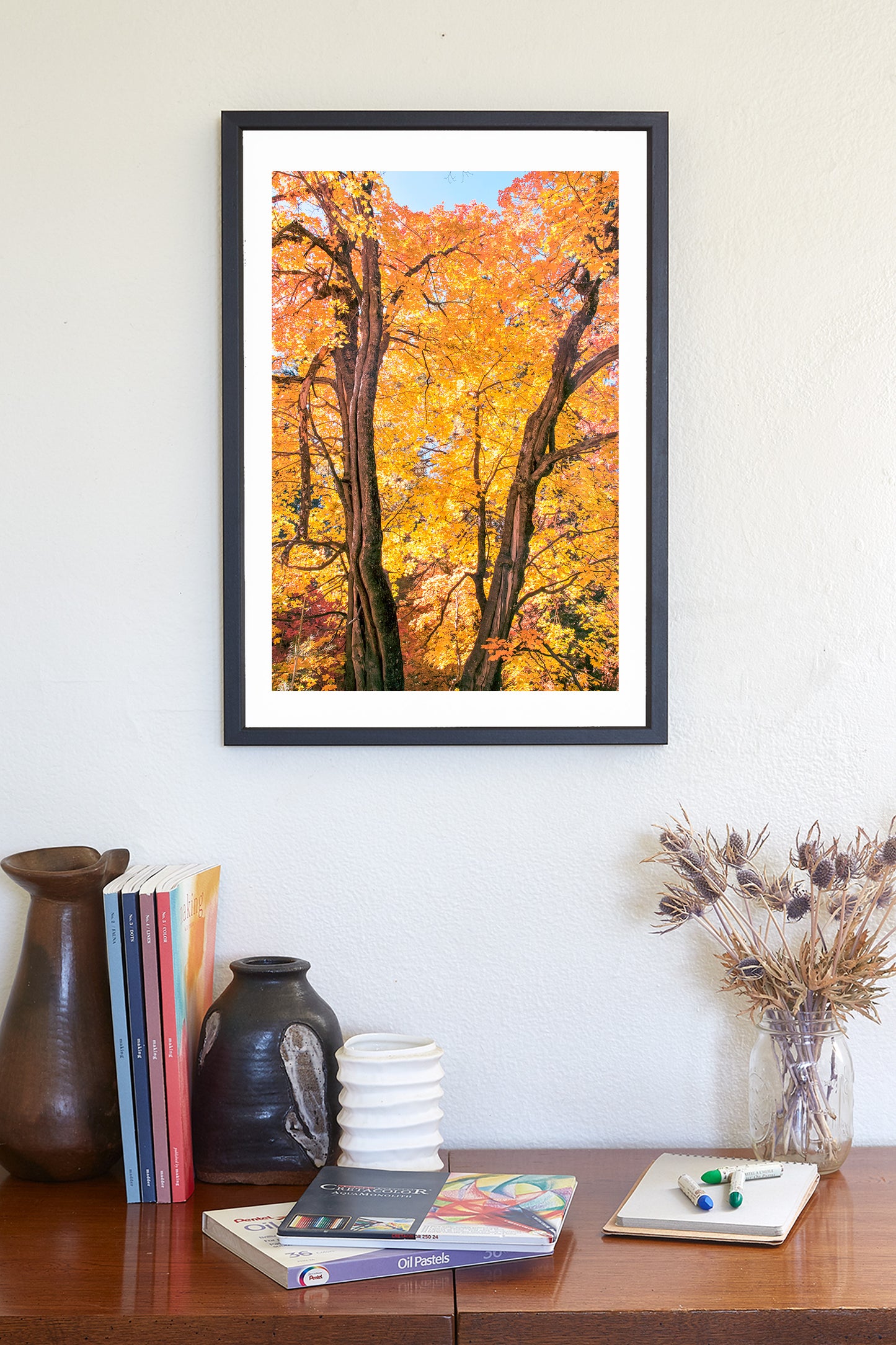 Fall Forest Photography | Golden Autumn Leaves in Tucson AZ Mountains