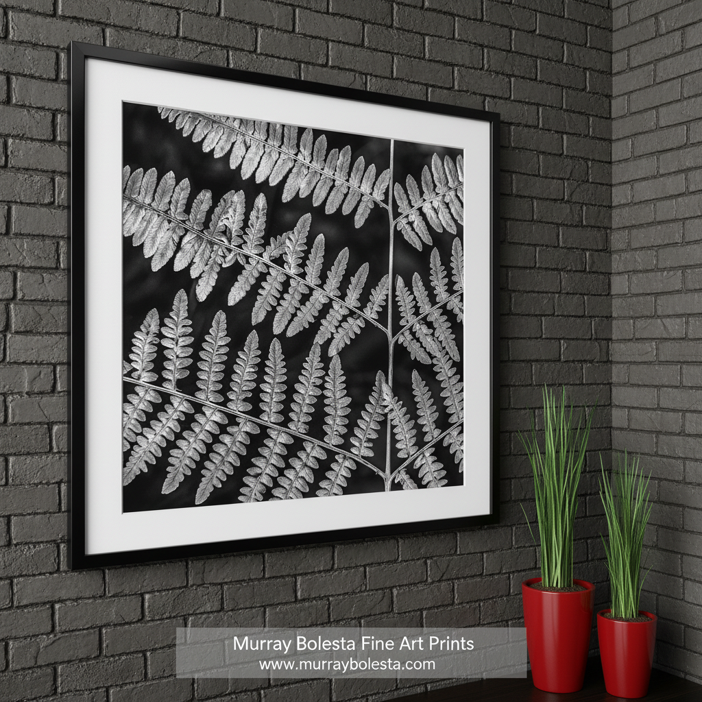 Black and white pattern of fern leaves on a white background by Murray Bolesta